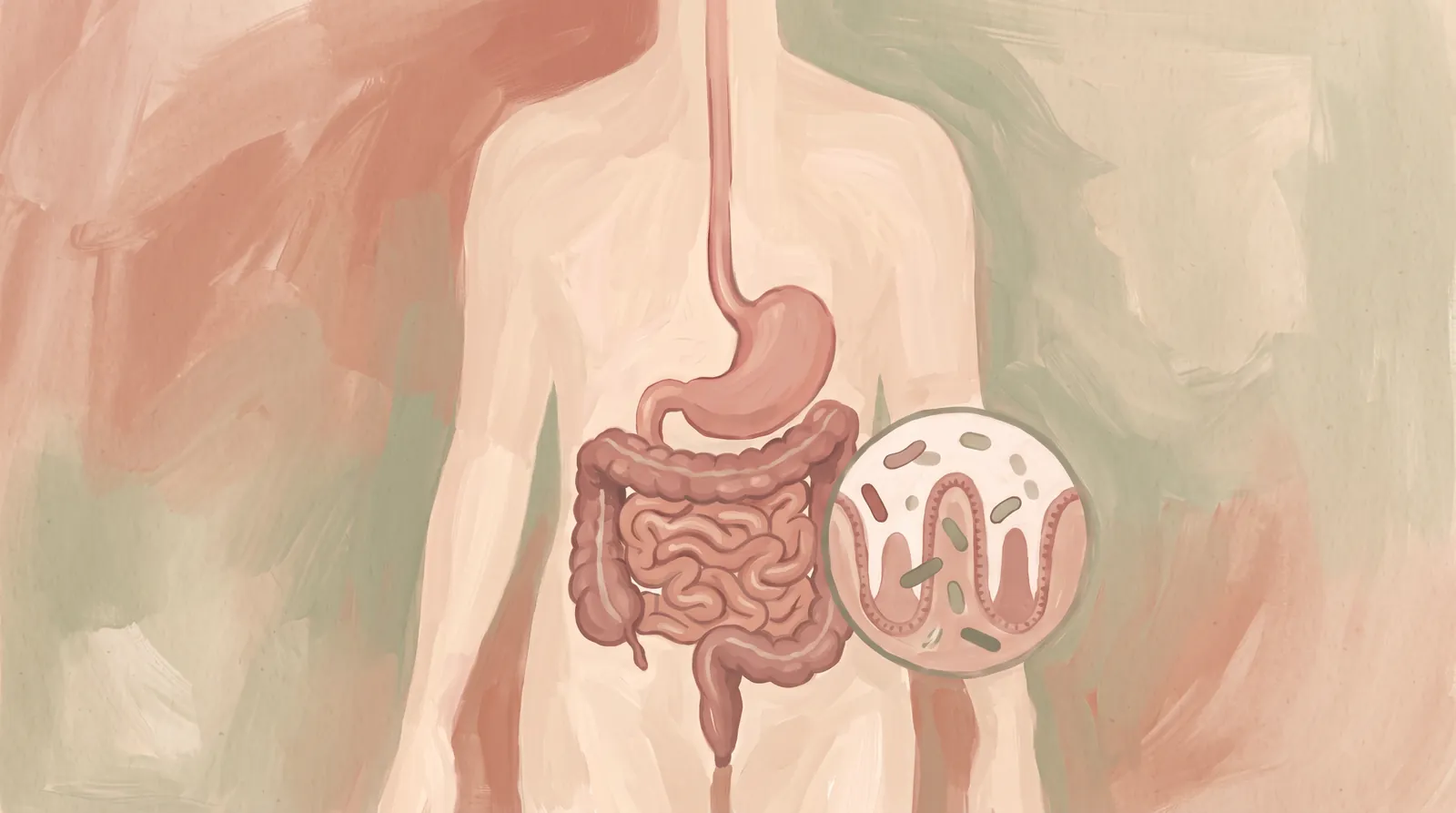 Illustration of a probiotic bottle, a bowl of yogurt with berries and granola, and a glass of green juice on a kitchen counter.